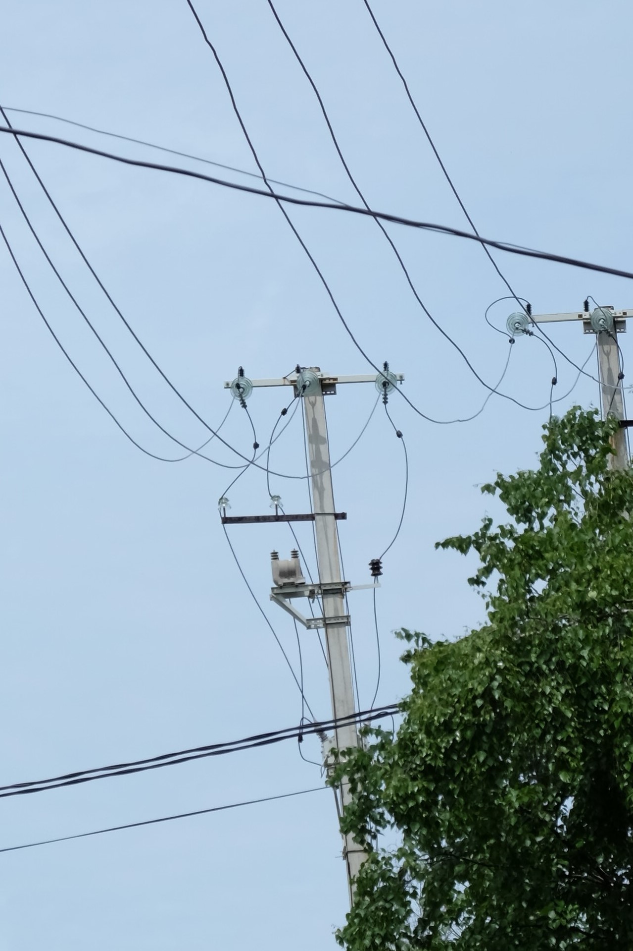 ОЛ 10 Листвянка